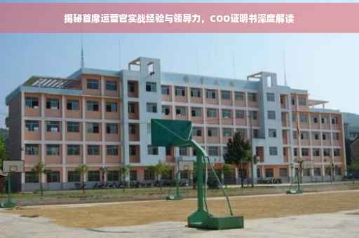 揭秘首席运营官实战经验与领导力，COO证明书深度解读