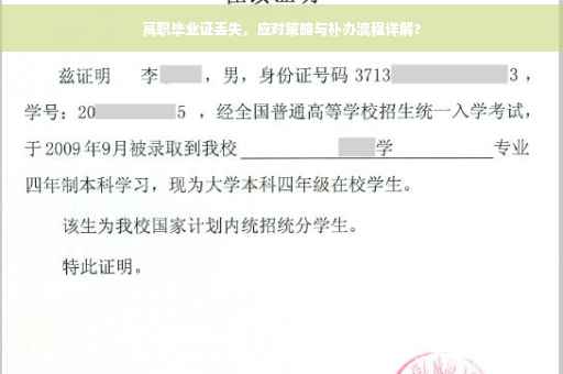 高职毕业证丢失，应对策略与补办流程详解?