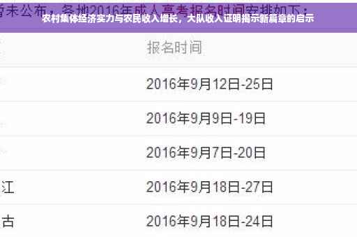 农村集体经济实力与农民收入增长，大队收入证明揭示新篇章的启示