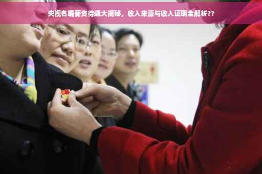 央视名嘴薪资待遇大揭秘，收入来源与收入证明全解析??