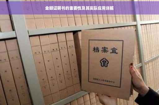 金额证明书的重要性及其实际应用详解