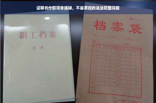 证明书作假现象揭秘，不容忽视的违法犯罪问题