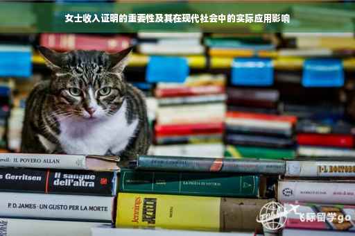 女士收入证明的重要性及其在现代社会中的实际应用影响