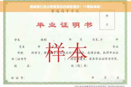 揭秘银行流水明细背后的秘密面纱！??揭秘真相！