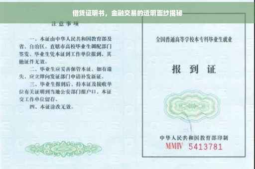 借贷证明书，金融交易的透明面纱揭秘