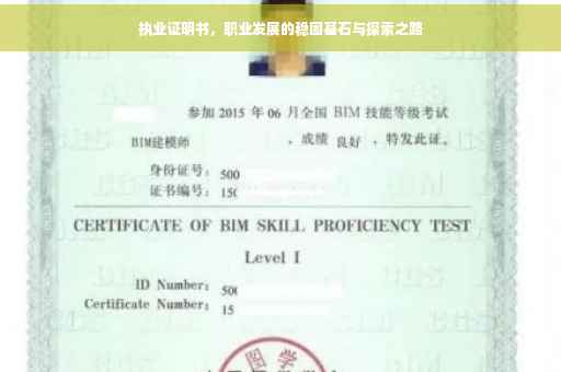 执业证明书，职业发展的稳固基石与探索之路