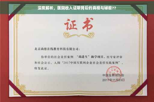 深度解析，医院收入证明背后的真相与秘密??