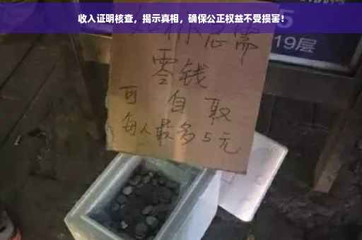 收入证明核查，揭示真相，确保公正权益不受损害！