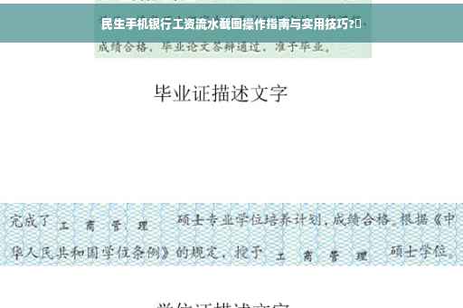 民生手机银行工资流水截图操作指南与实用技巧?✨