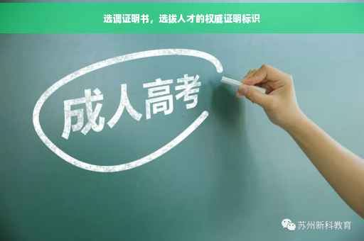 选调证明书，选拔人才的权威证明标识