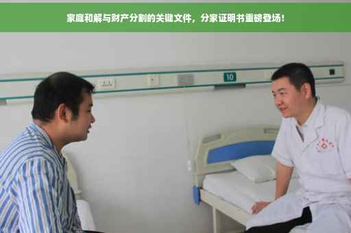 家庭和解与财产分割的关键文件，分家证明书重磅登场！