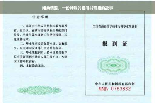 姐弟情深，一份特殊的证明书背后的故事