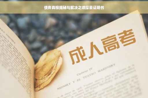 债务真相揭秘与解决之道探索证明书