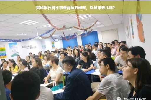 揭秘银行流水审查背后的秘密，究竟审查几年？
