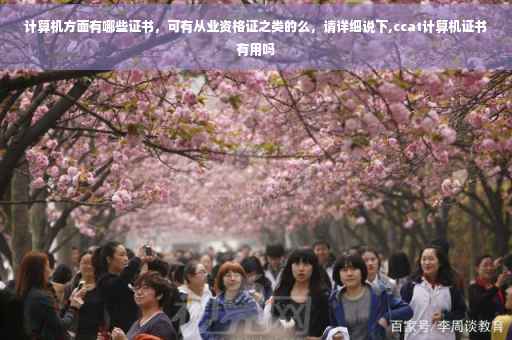 计算机方面有哪些证书，可有从业资格证之类的么，请详细说下,ccat计算机证书有用吗