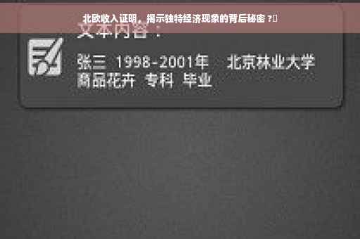 北欧收入证明，揭示独特经济现象的背后秘密 ?✨