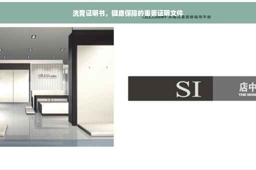 洗胃证明书，健康保障的重要证明文件