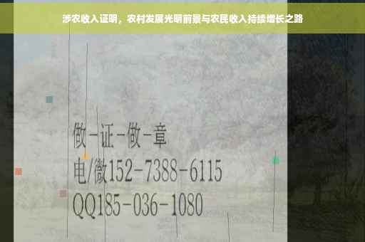 涉农收入证明，农村发展光明前景与农民收入持续增长之路