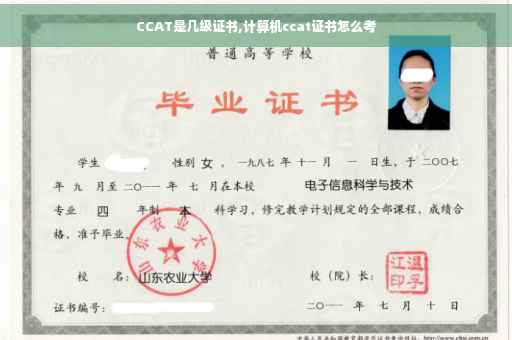 CCAT是几级证书,计算机ccat证书怎么考