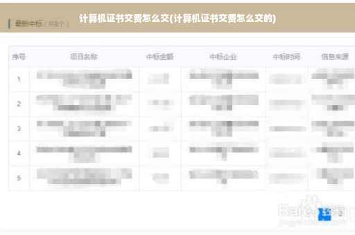 计算机证书交费怎么交(计算机证书交费怎么交的)