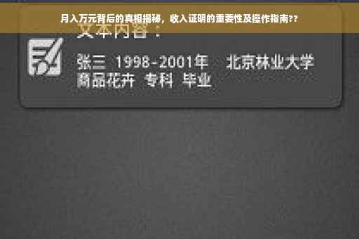 月入万元背后的真相揭秘，收入证明的重要性及操作指南??