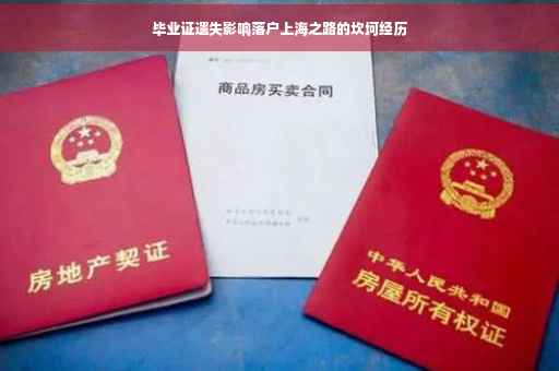 毕业证遗失影响落户上海之路的坎坷经历