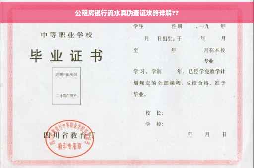 公租房银行流水真伪查证攻略详解??