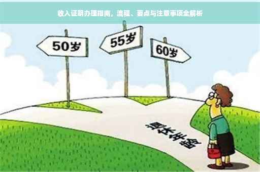 收入证明办理指南，流程、要点与注意事项全解析