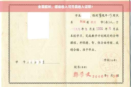全面解析，哪些收入可开具收入证明？