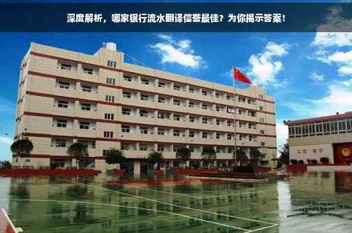 深度解析，哪家银行流水翻译信誉最佳？为你揭示答案！