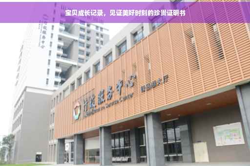 宝贝成长记录，见证美好时刻的珍贵证明书