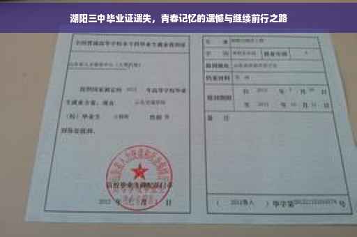 湖阳三中毕业证遗失，青春记忆的遗憾与继续前行之路