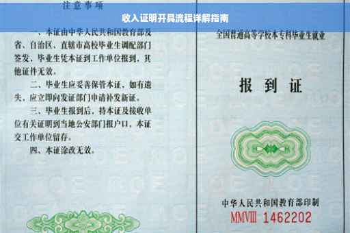收入证明开具流程详解指南
