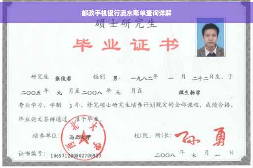 邮政手机银行流水账单查询详解