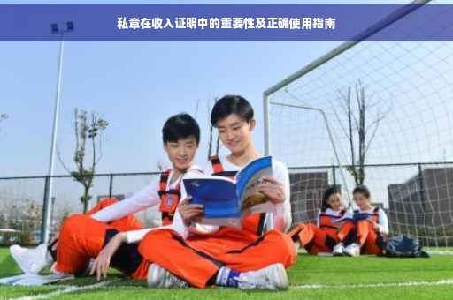 私章在收入证明中的重要性及正确使用指南 私章在收入证明中的重要性及正确使用指南
