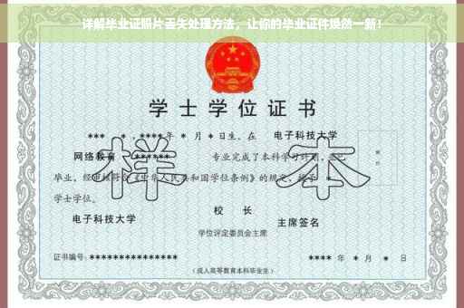 详解毕业证照片丢失处理方法，让你的毕业证件焕然一新！