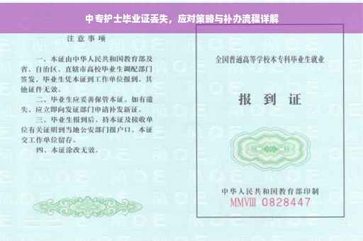 中专护士毕业证丢失，应对策略与补办流程详解