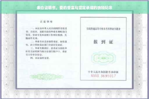 表白证明书，爱的誓言与坚定承诺的独特纪念
