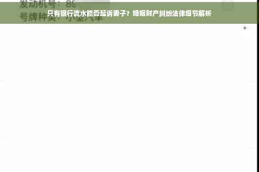只有银行流水能否起诉妻子？婚姻财产纠纷法律细节解析