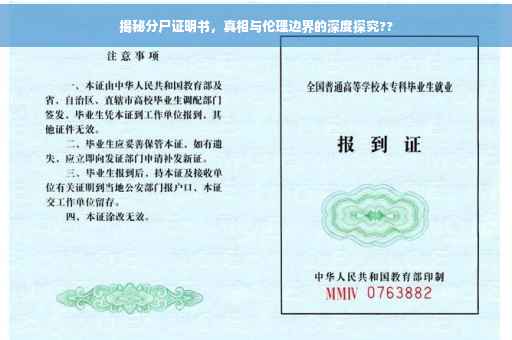 揭秘分尸证明书，真相与伦理边界的深度探究??