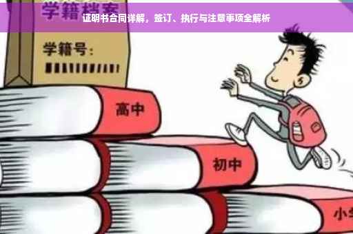 证明书合同详解，签订、执行与注意事项全解析