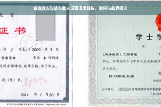 企业收入与法人收入证明深度解析，真相与差异探究