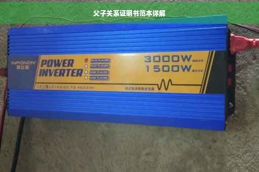 父子关系证明书范本详解