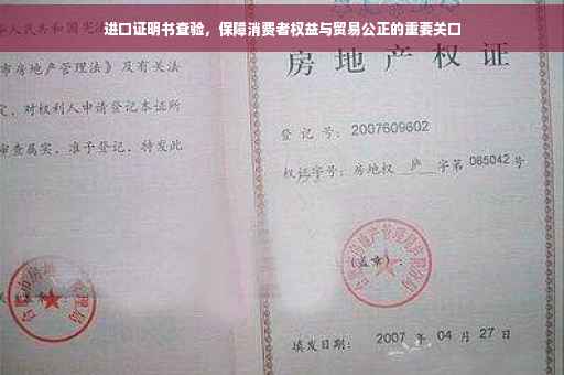 进口证明书查验，保障消费者权益与贸易公正的重要关口