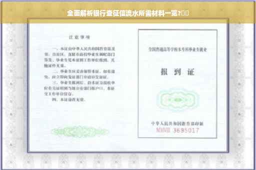 全面解析银行查征信流水所需材料一览?⚡️