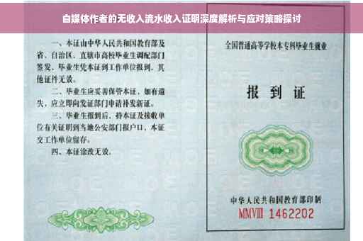 自媒体作者的无收入流水收入证明深度解析与应对策略探讨