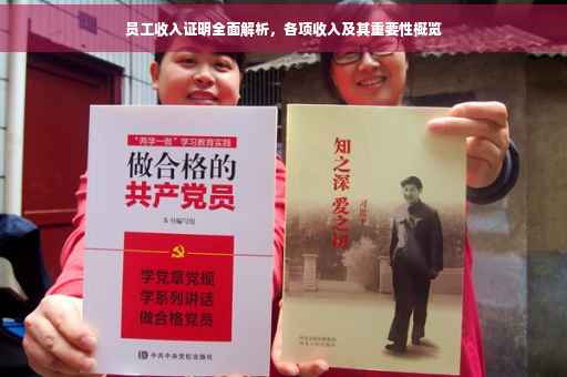 员工收入证明全面解析，各项收入及其重要性概览