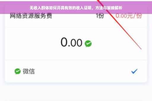 无收入群体如何开具有效的收入证明，方法与策略解析