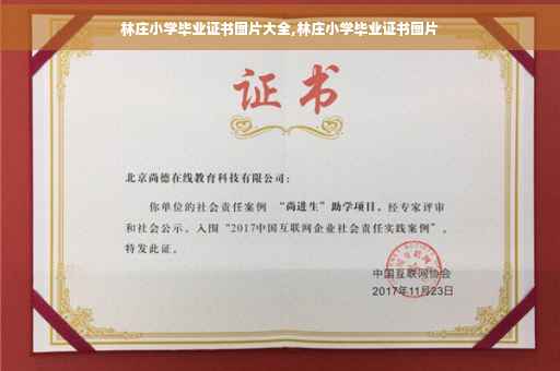 林庄小学毕业证书图片大全,林庄小学毕业证书图片