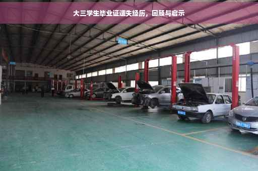 大三学生毕业证遗失经历，回顾与启示